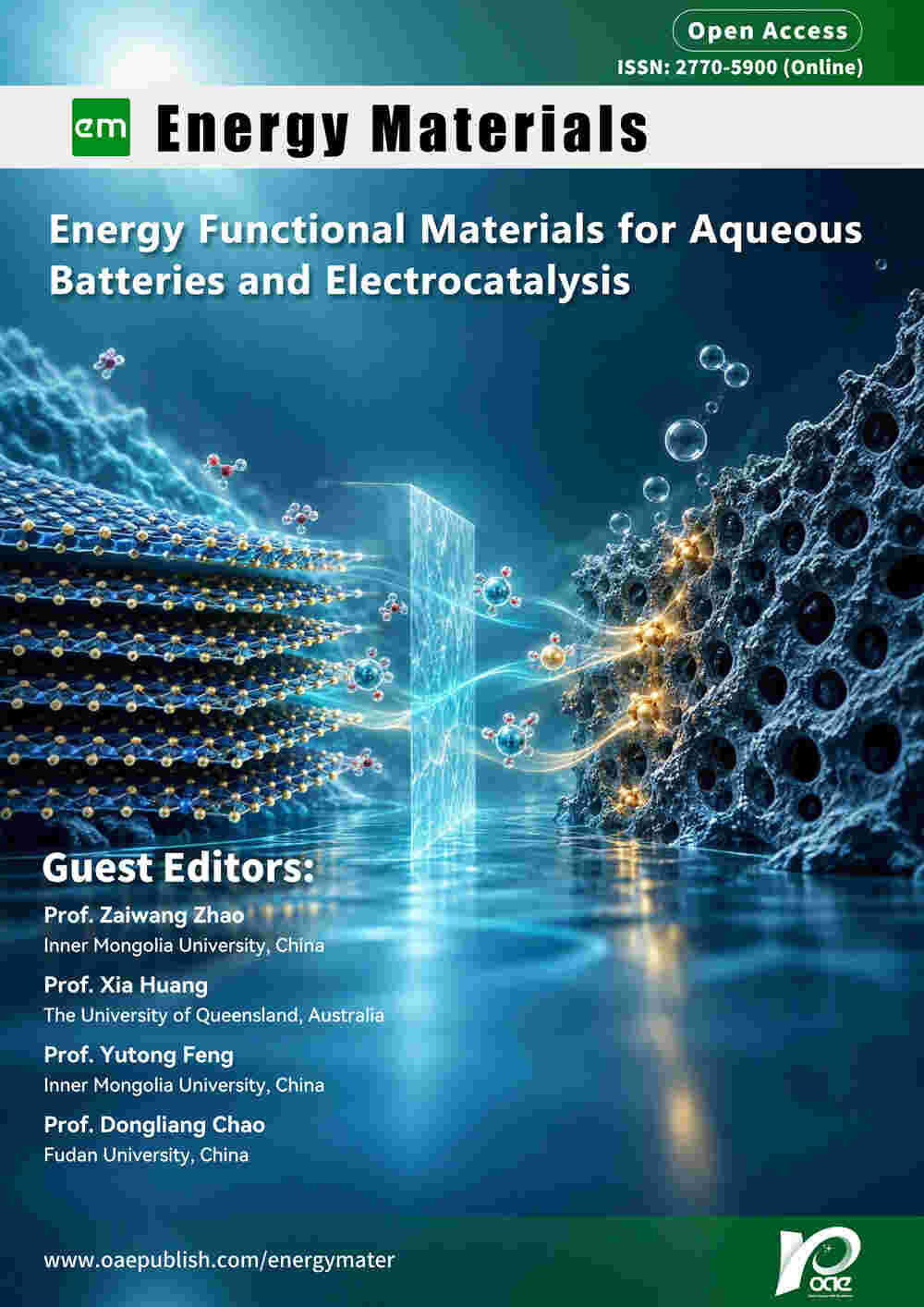 Special Topic Cover