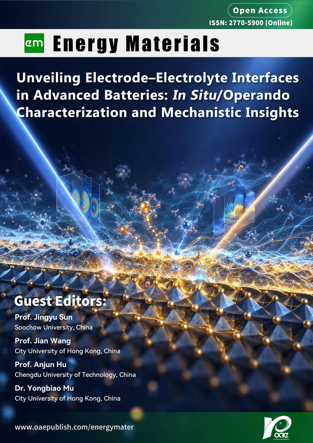 Special Topic Cover