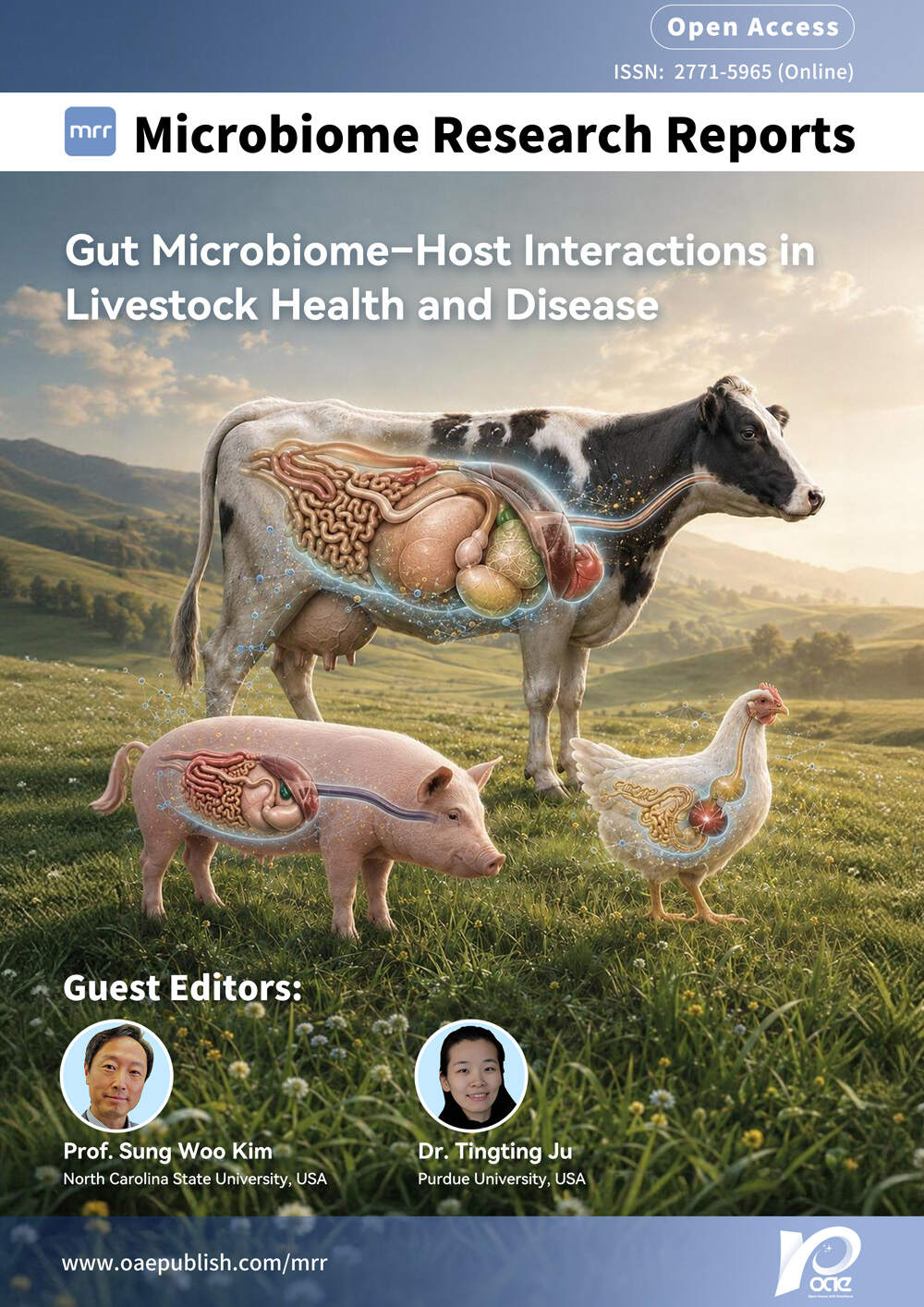 Special Topic Cover